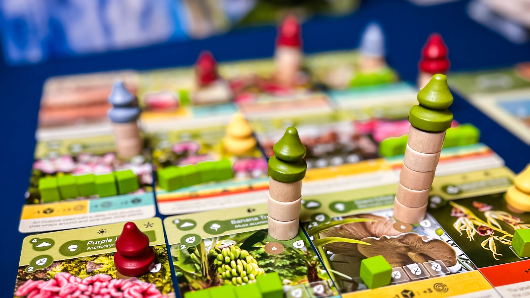 The 10 Best Board Games for Kids of 2023